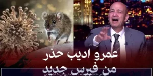 فيروس هانتا ارتفاع عدد المصابين إلى 6 أشخاص